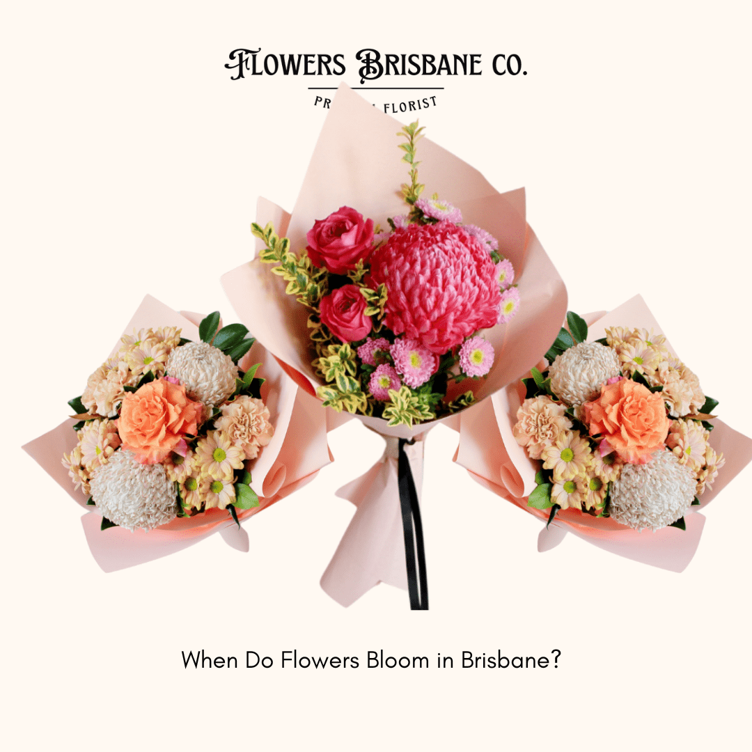 When Do Flowers Bloom in Brisbane