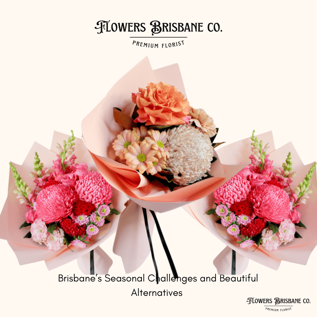 Brisbane’s Seasonal Challenges and Beautiful Alternatives