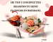 he Top 5 Unexpected Reasons to Send Flowers in Brisbane